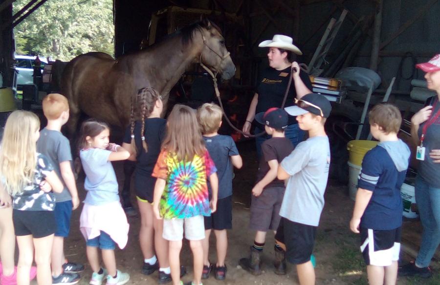 horse station presenter